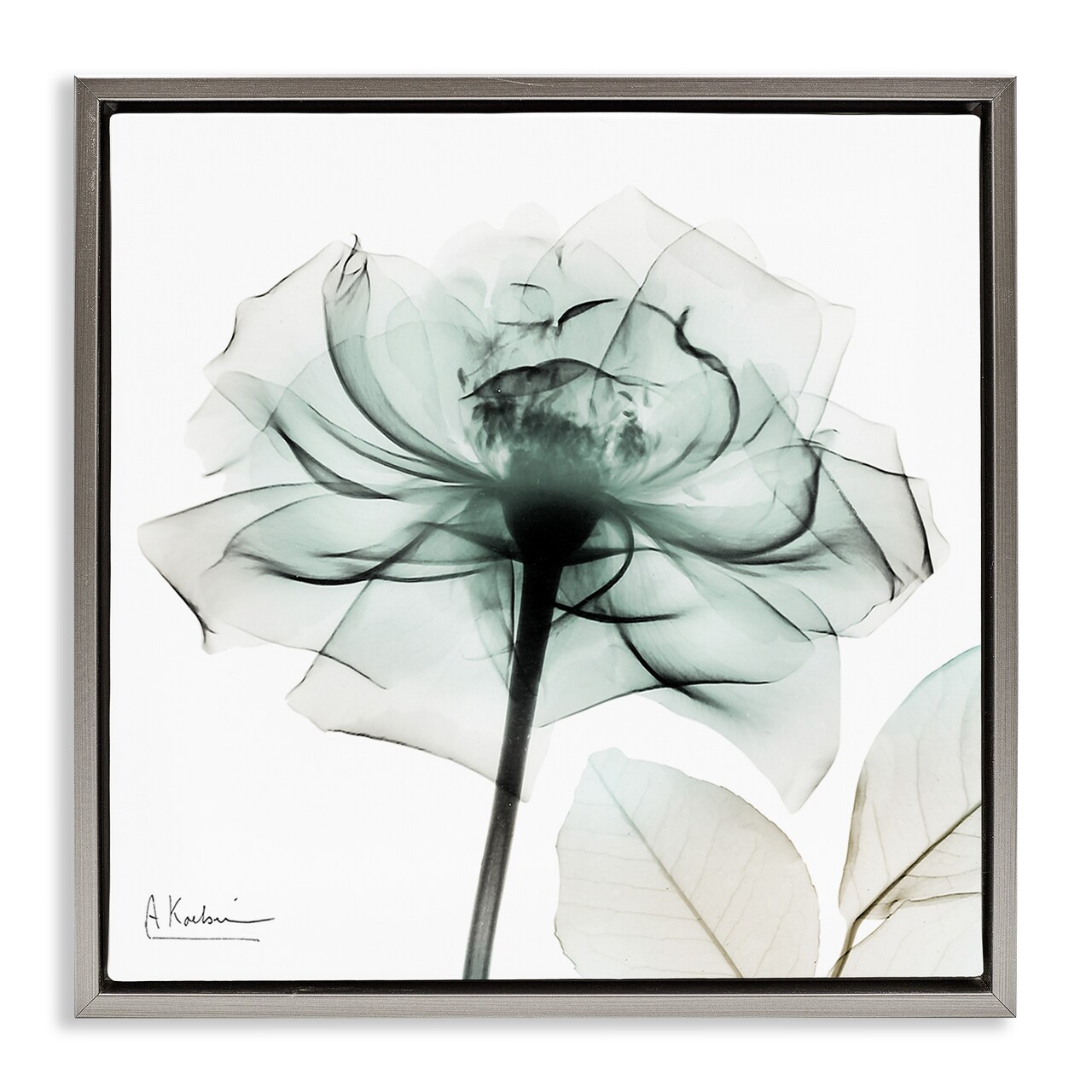 Stupell Industries Transparent Flower Blossom Floating Frame Design by Albert Koetsier